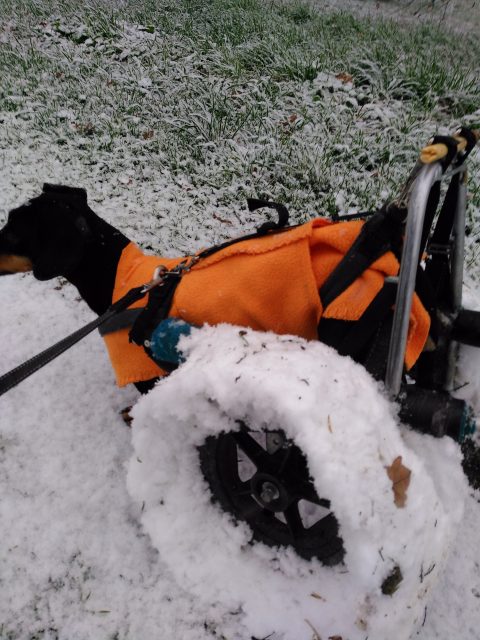 Rolli mit viel Schnee um die Reifen - wir brauchen wohl doch Schneeketten - am besten diy!